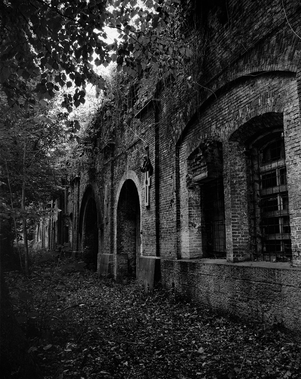 Overgrown entrance to the main front building of Fort V