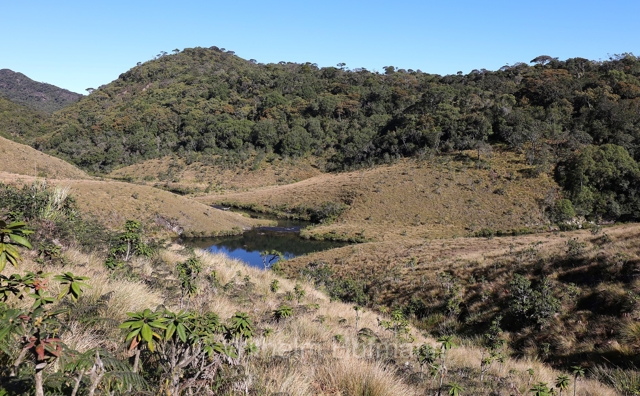 Horton Plains National Park, Horton-Plains-Nationalpark, parco nazionale Horton Plains, Sri Lanka