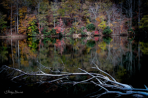 Calm Stillness