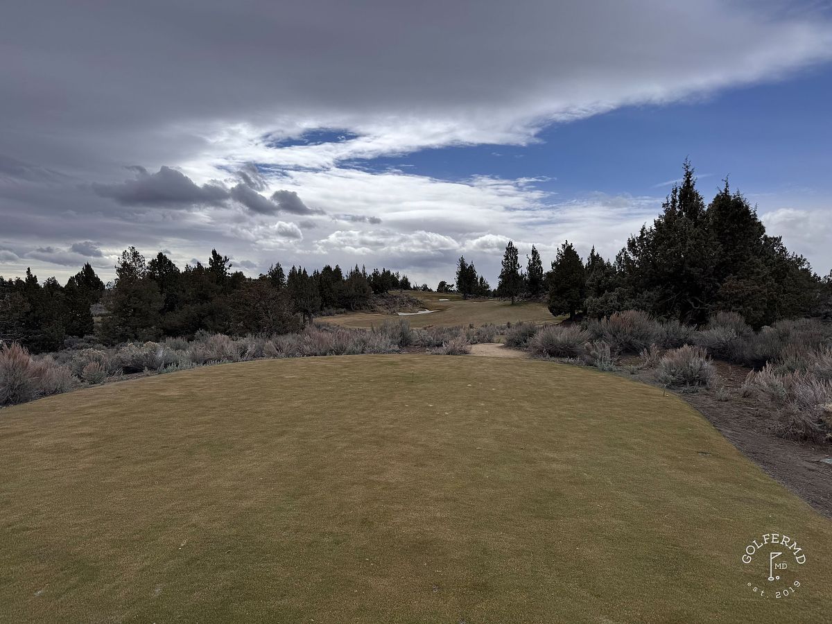 #49 Pronghorn