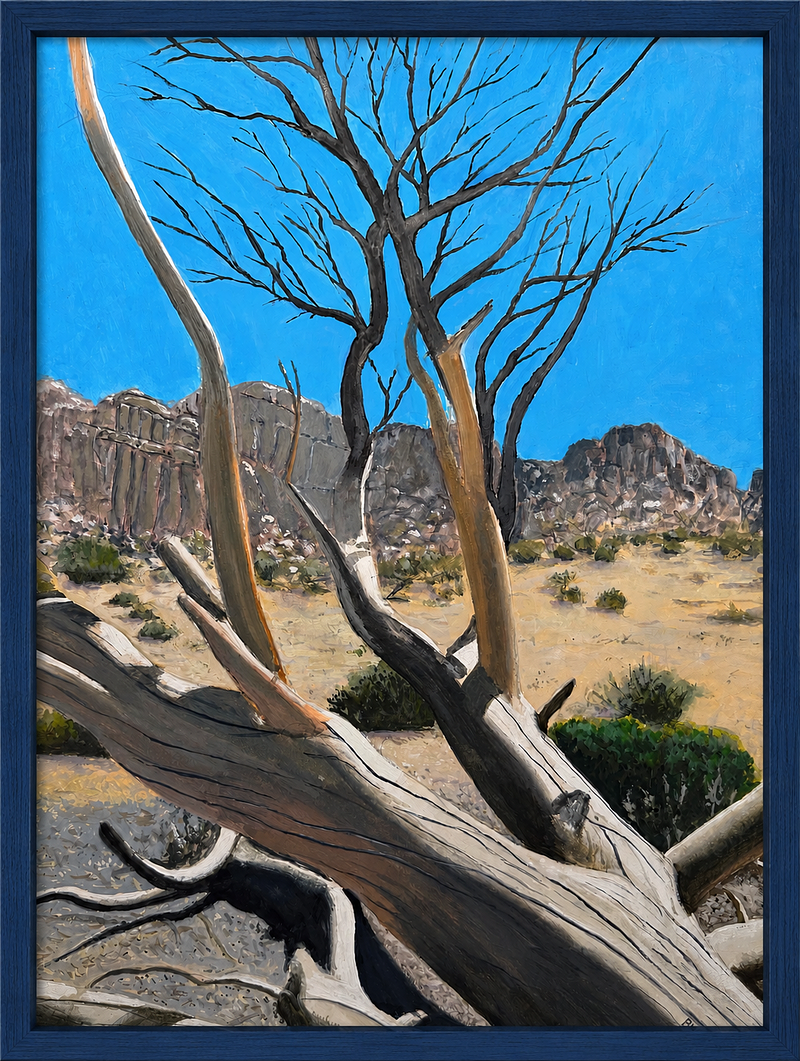 Joshua Tree on Luge Trail Section 6 JT