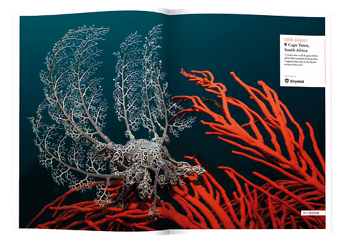 Oceanographic Magazine, Issue 37