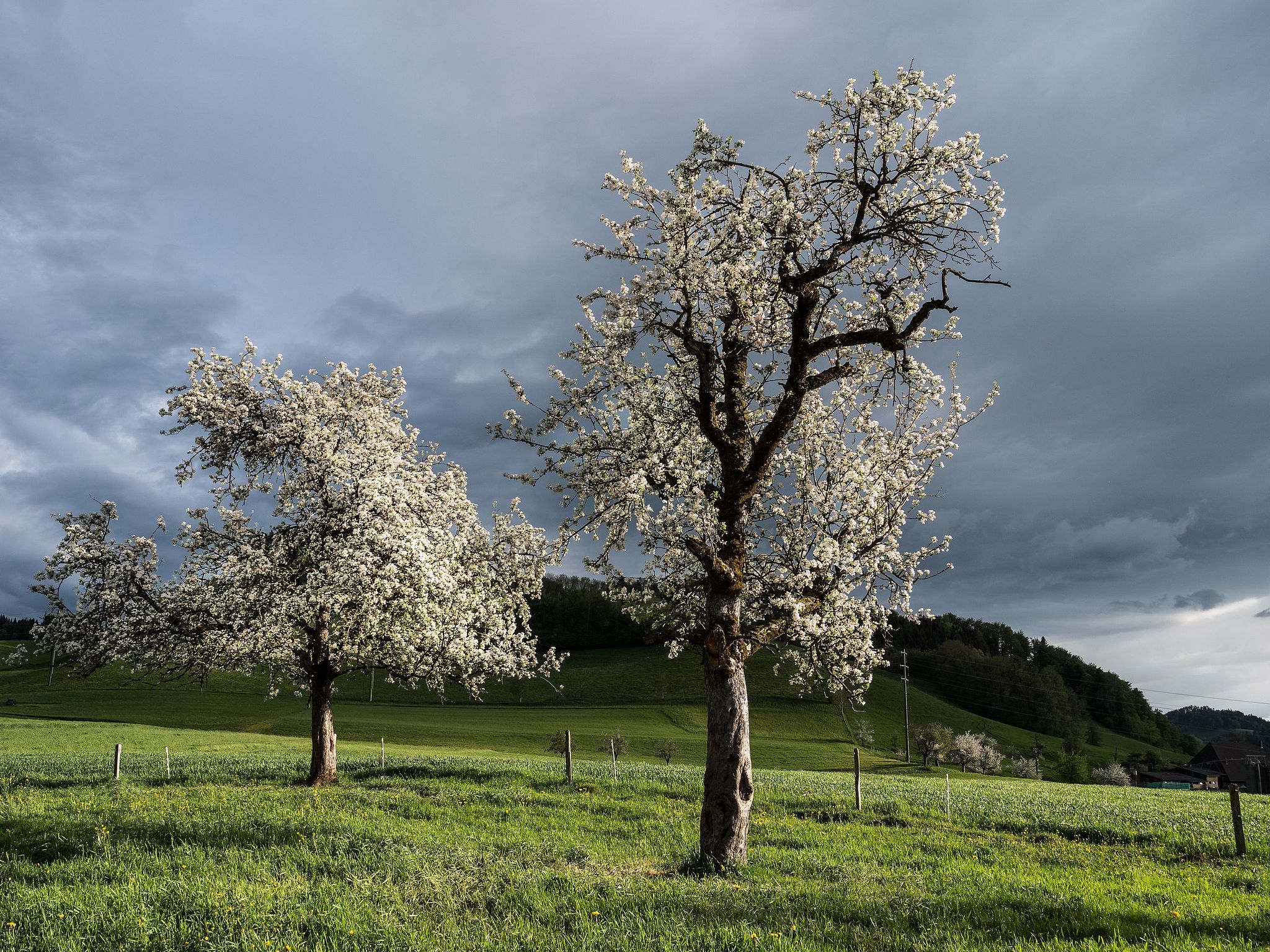 Der Weiler Hofern im Frühling