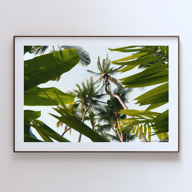 COLLECTION - GIANTS OF THE LAND HORIZONTAL - "Between Tropics" - LIMITED EDITION 10 of 10