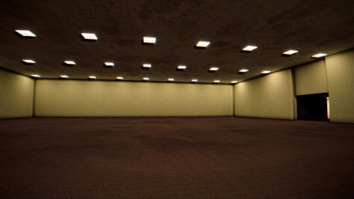 Level 0