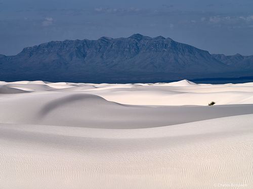 New Mexico
