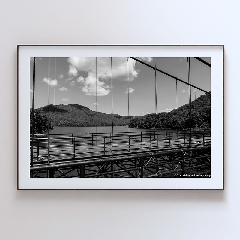 THE ONE - WILDLIFE & NATURE - "Steel and Silence" - LIMITED EDITION 5 of 5