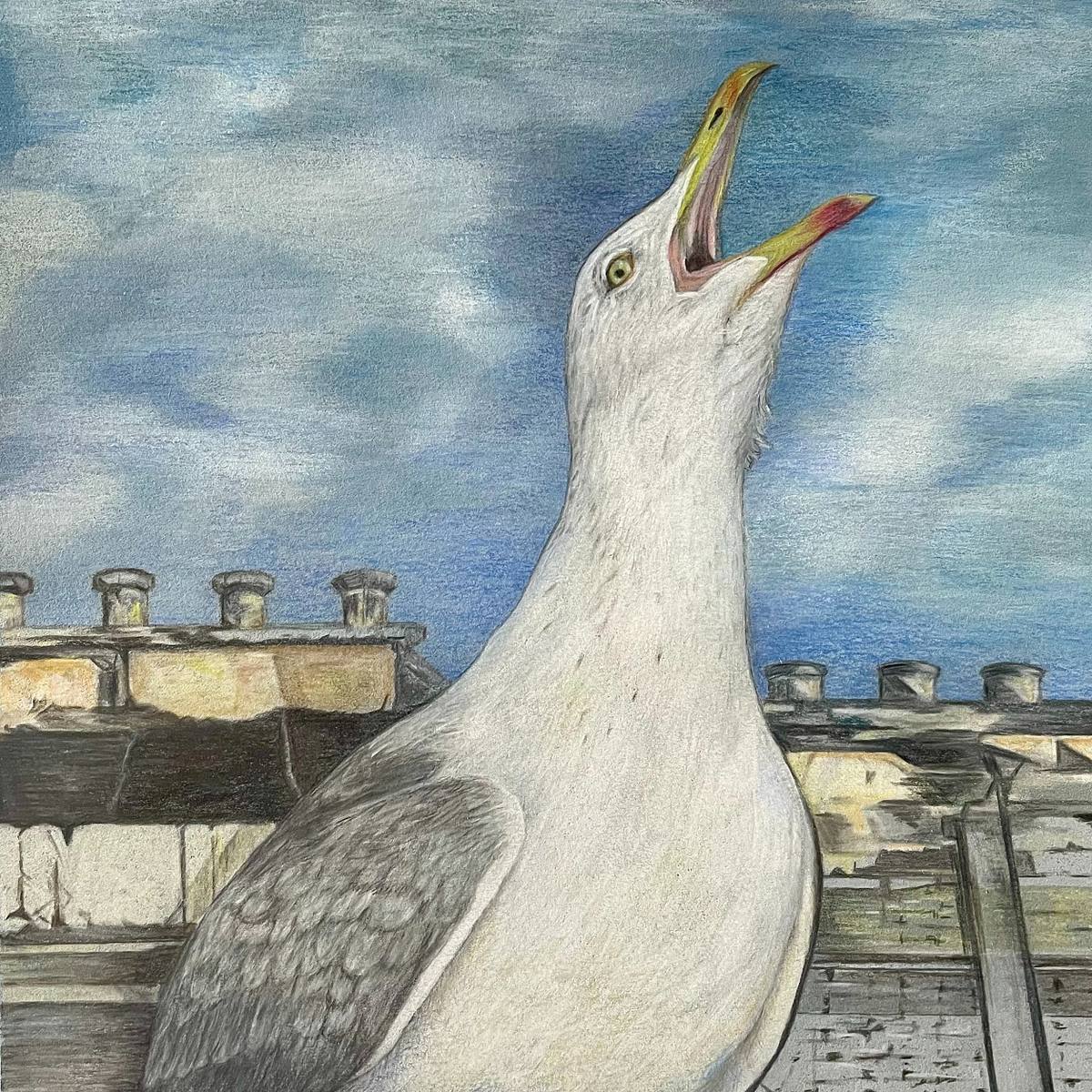 The Long Call, coloured pencil fine art drawing seagull herring gull calling out from roof tops, throwing head back making it's long call against a cloudy blue sky