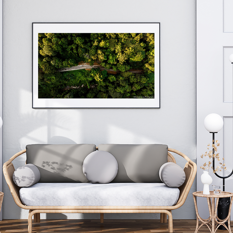 THE ONE - AERIAL PRINTS - "Canopy Cut" - LIMITED EDITION 5 of 5