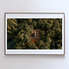 THE ONE - QUIET ICONS - "Jungle Temple" - LIMITED EDITION 5 of 5