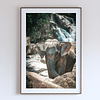 THE ONE - WILDLIFE & NATURE - "Where the Water Runs" - LIMITED EDITION 5 of 5