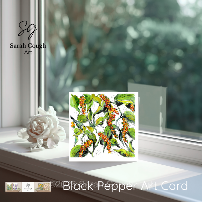 Black Pepper | Botanical Art Card | Watercolour Original Illustration | with Envelope