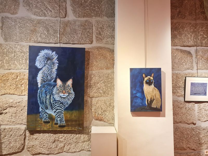 «7 vidas» — Galería Visol, Ourense