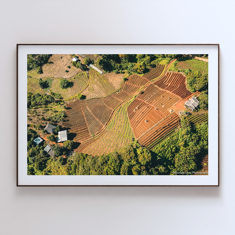 THE ONE - AERIAL PRINTS - "Stiched Earth" - LIMITED EDITION 5 of 5