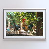 COLLECTION - GIANTS OF THE LAND HORIZONTAL - "He Knows" - LIMITED EDITION 10 of 10