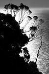 Sublime - Limited Edition Photograph | Giclée Print - Loose | 20"W X 30"H