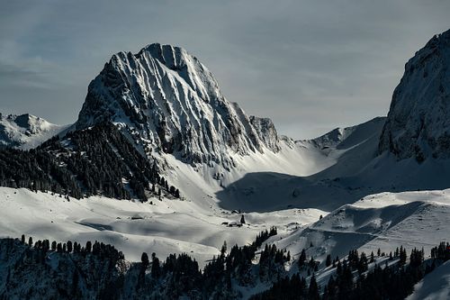Blick auf die Voralpen