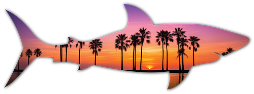 Ember Palms