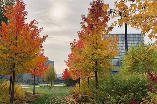 Novartis · Basel, Switzerland