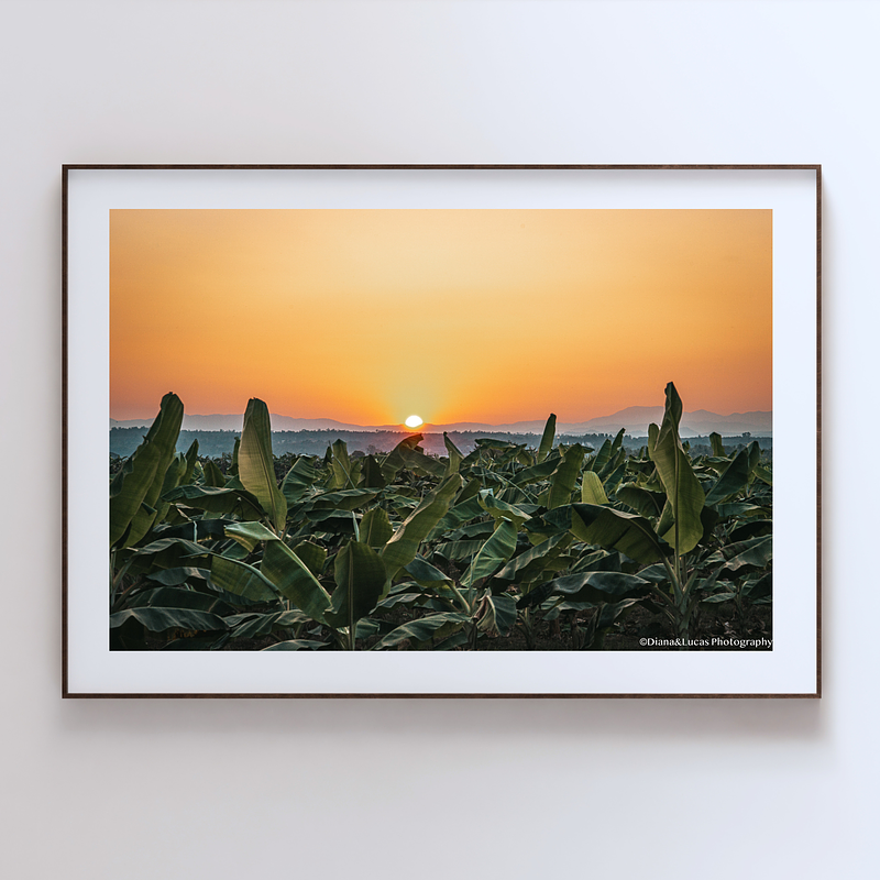 COLLECTION - GIANTS OF THE LAND HORIZONTAL - "The Last Minute" - LIMITED EDITION 10 of 10
