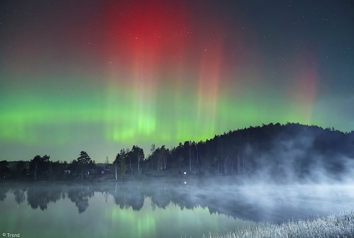 Nature & Landscape Gallery 1