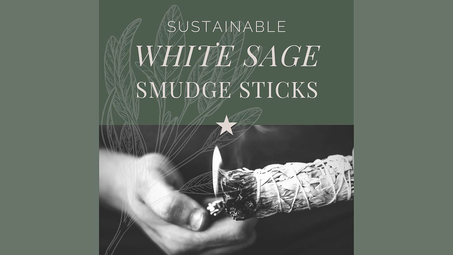 Canva template featuring hand illustrated herbs