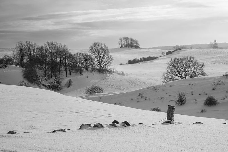 RURAL