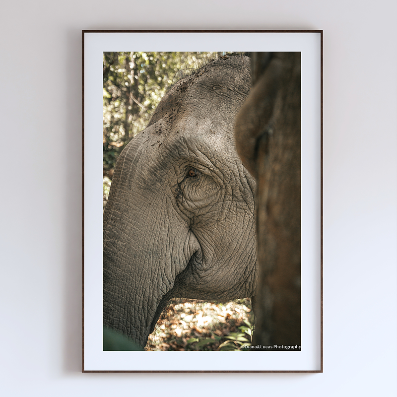 COLLECTION - GIANTS OF THE LAND VERTICAL - "Somewhere Else" - LIMITED EDITION 10 of 10
