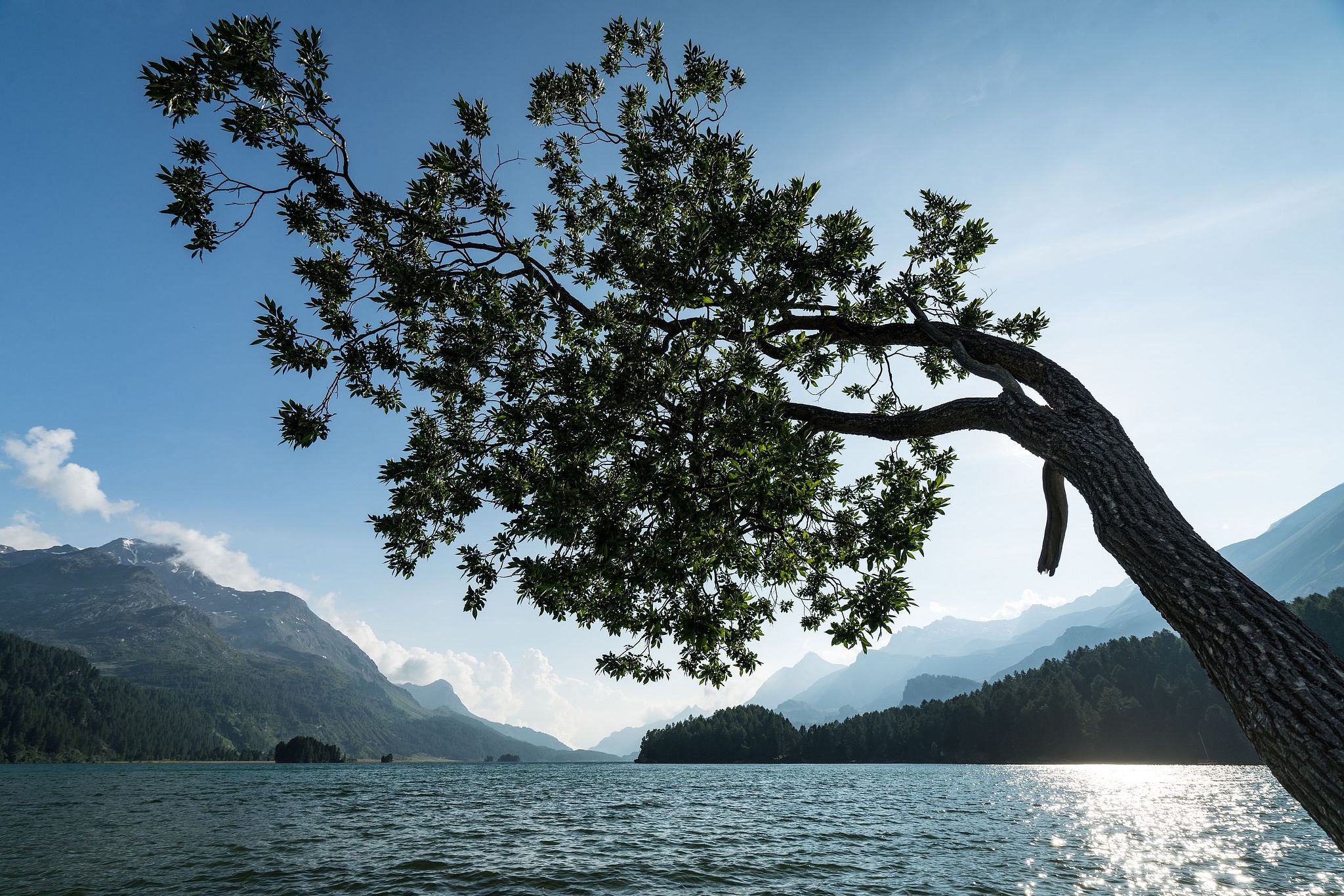 Am Silsersee