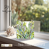 Tea Tree | Botanical Illustration | Art Card | with Envelope