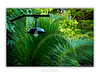 THE ONE - WILDLIFE & NATURE - "Lost in the Canopy" - LIMITED EDITION 5 of 5