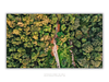 COLLECTION - FROM ABOVE HORIZONTAL - "The Forest Track" - LIMITED EDITION 10 of 10