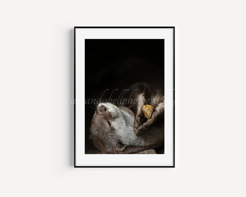 Otter with Pebble Print