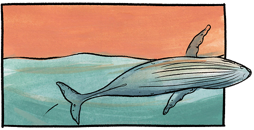 Bringing marine science into focus