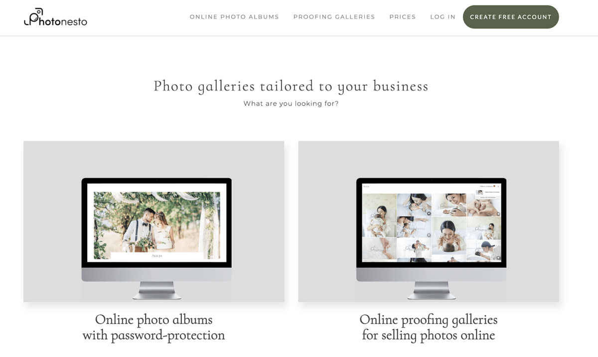 Photonesto homepage screenshot