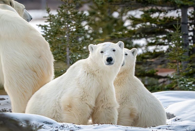 Churchill Canada