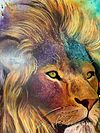 Cosmic Lion