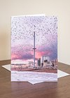 Brighton Starling Murmuration Greeting Cards (6 pack)