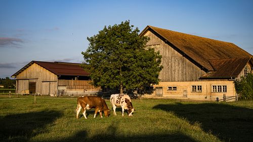 Hof in Abendsonne