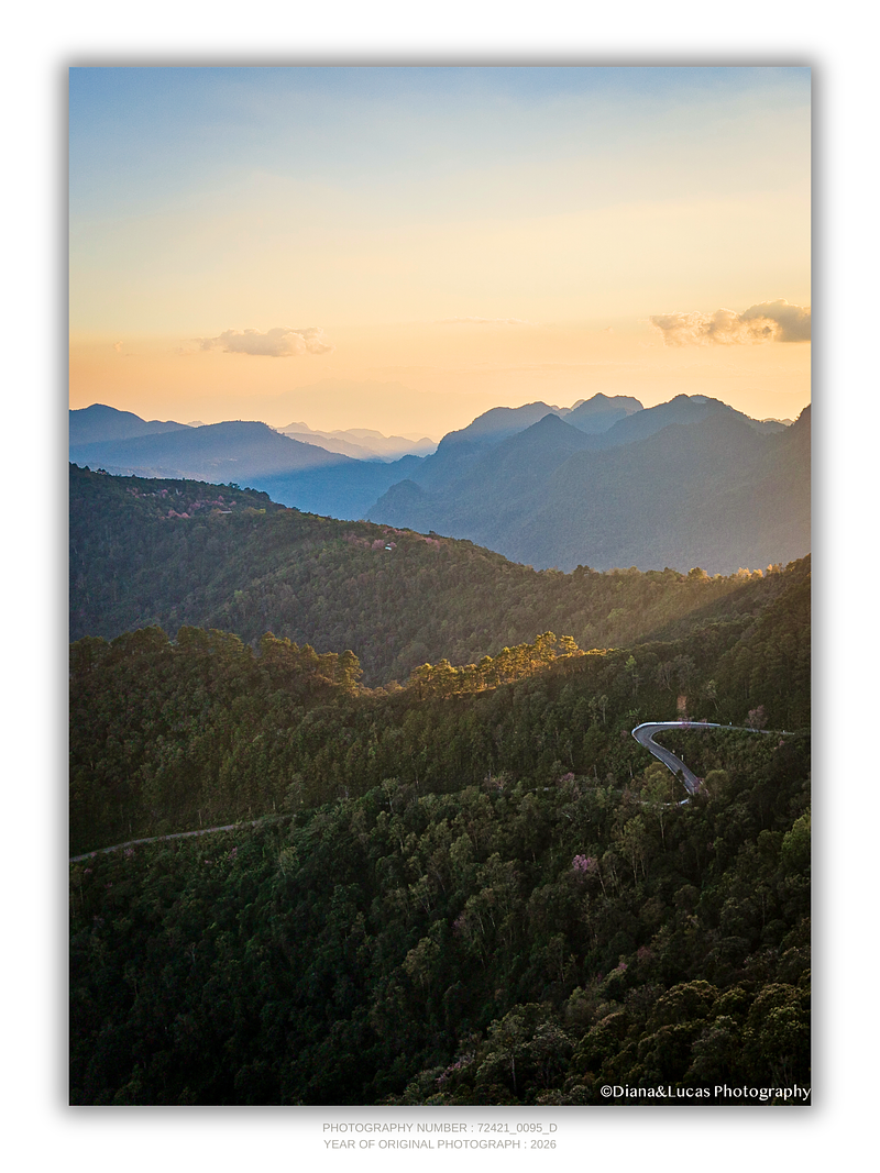 COLLECTION - FROM ABOVE VERTICAL - "The Long Way Down" - LIMITED EDITION 10 of 10