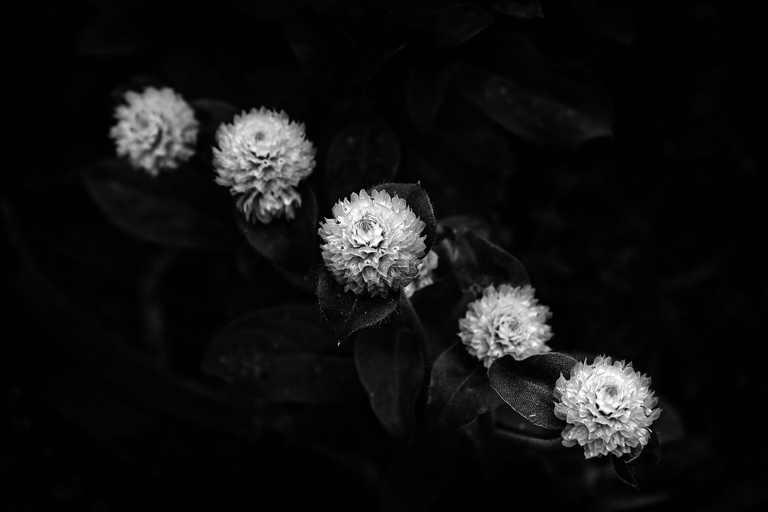 Bill Helton Photography