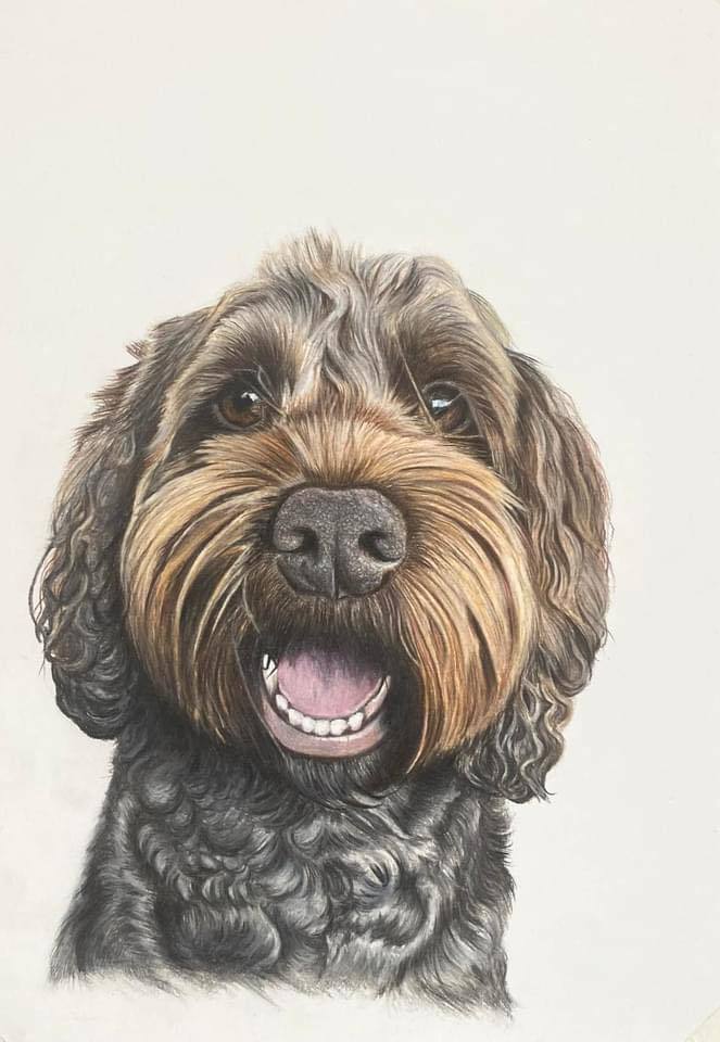 Lesley Mayne Artworks Pet Portrait Cockapoo Lesley Mayné