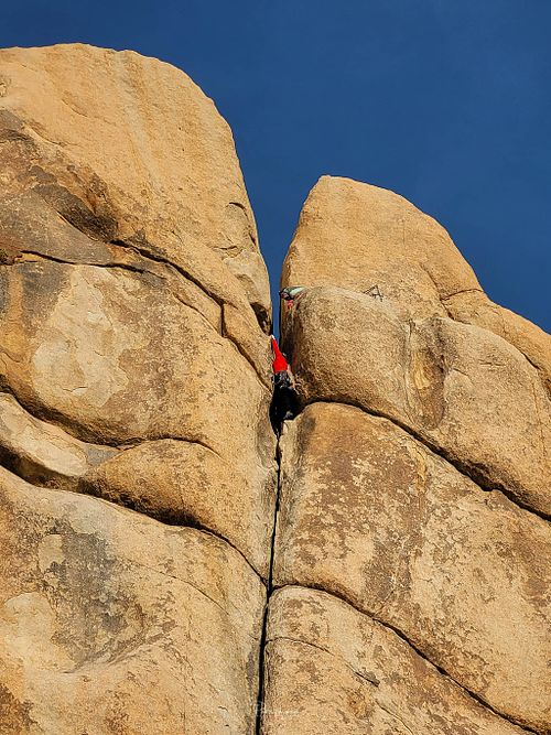 Latest Work - Joshua National Park