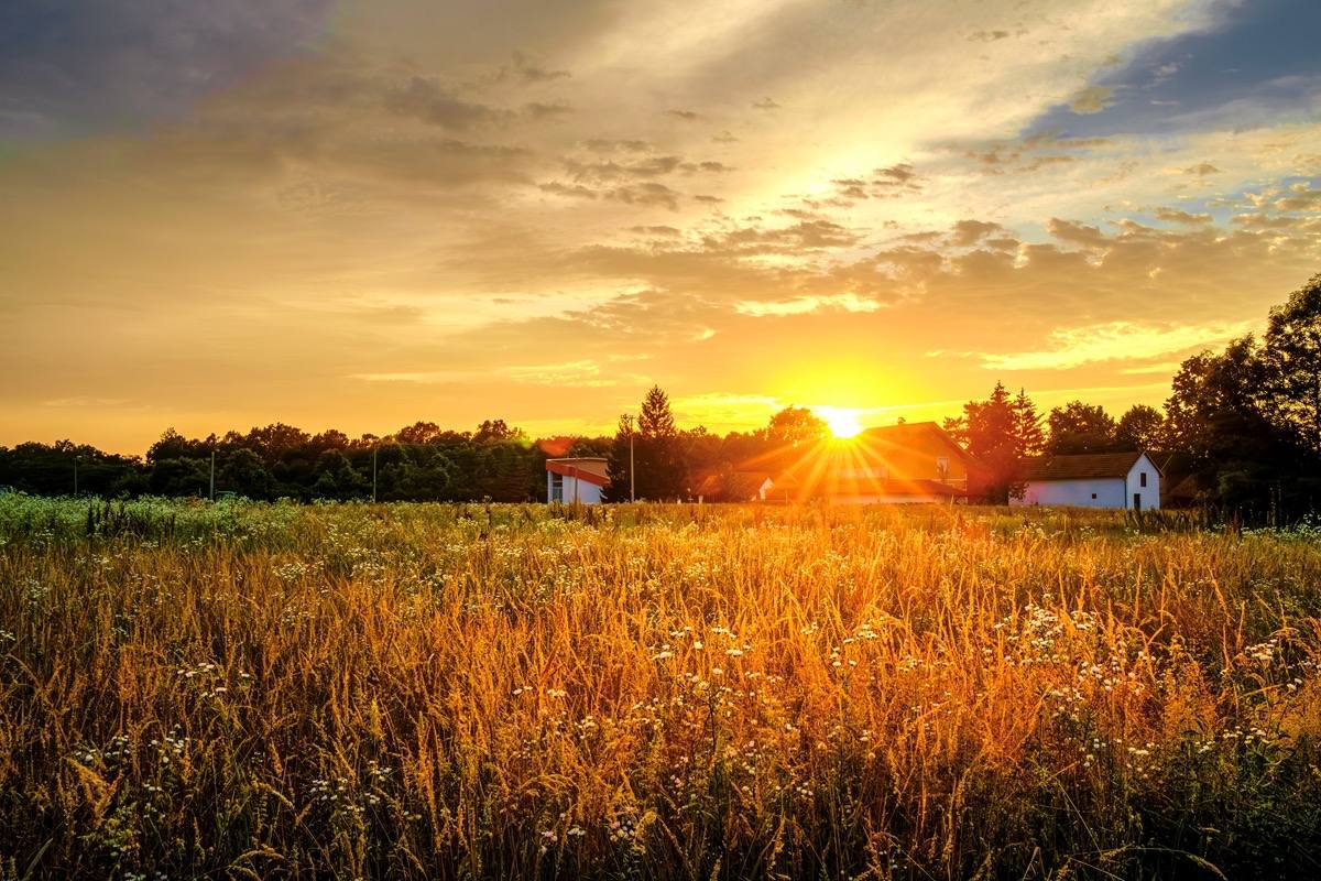 Der Sonnenuntergang umhüllt die Gegend in goldenen Farben. Was für eine wunderbare Atmosphäre!