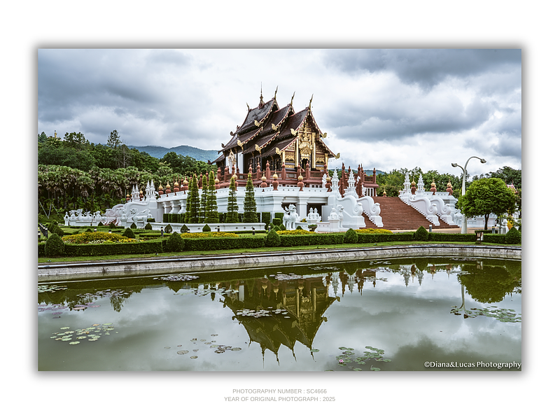 THE ONE - QUIET ICONS - "Mirrored" - LIMITED EDITION 5 of 5