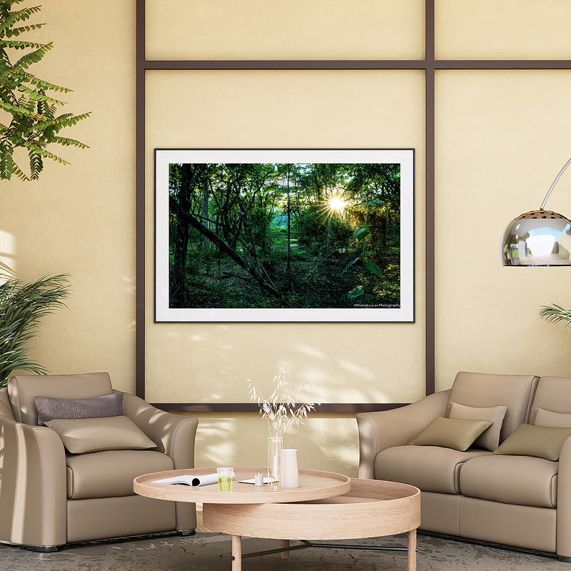 THE ONE - WILDLIFE & NATURE - "Jungle Light" - LIMITED EDITION 5 of 5
