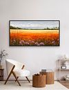 Australian Outback Wildflower Meadow