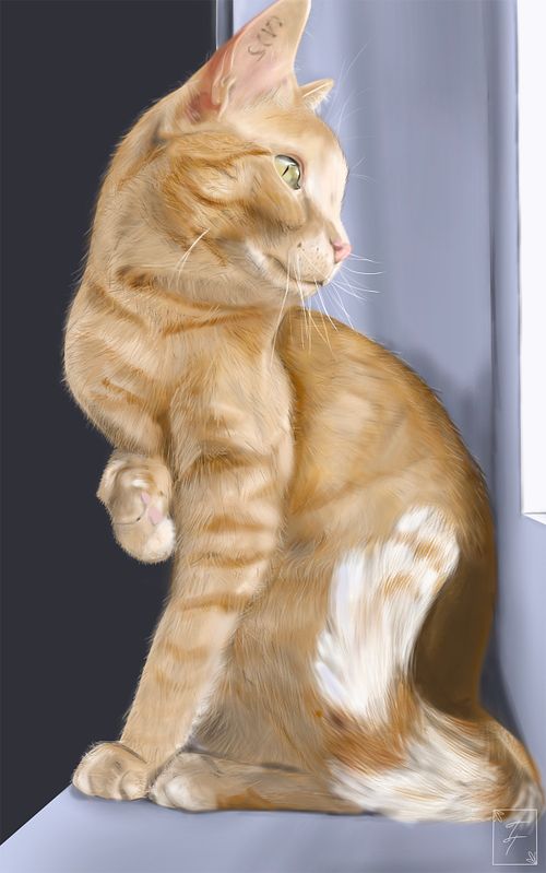 Simba