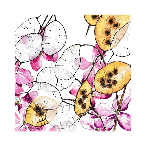 Botanical