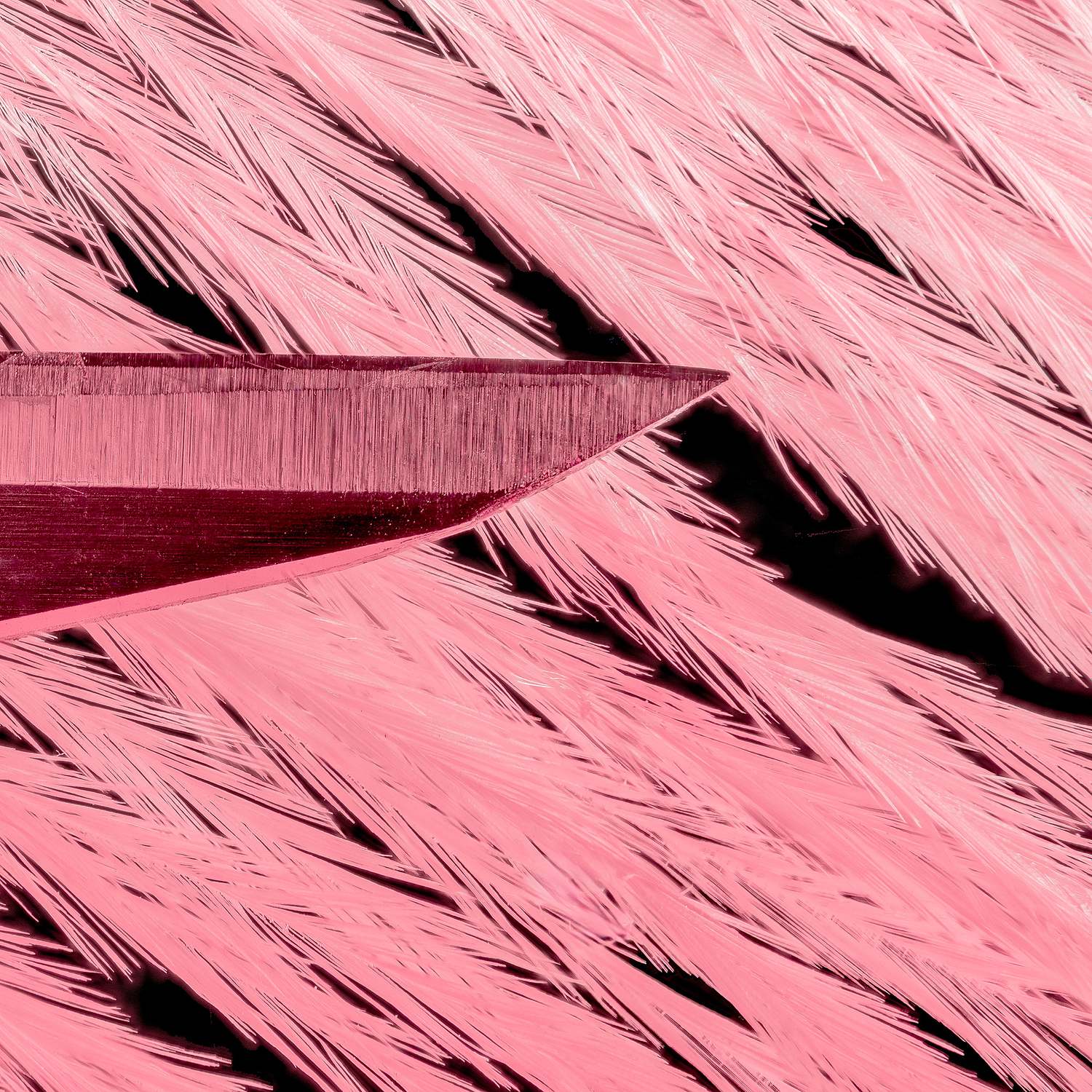 Macro and Product